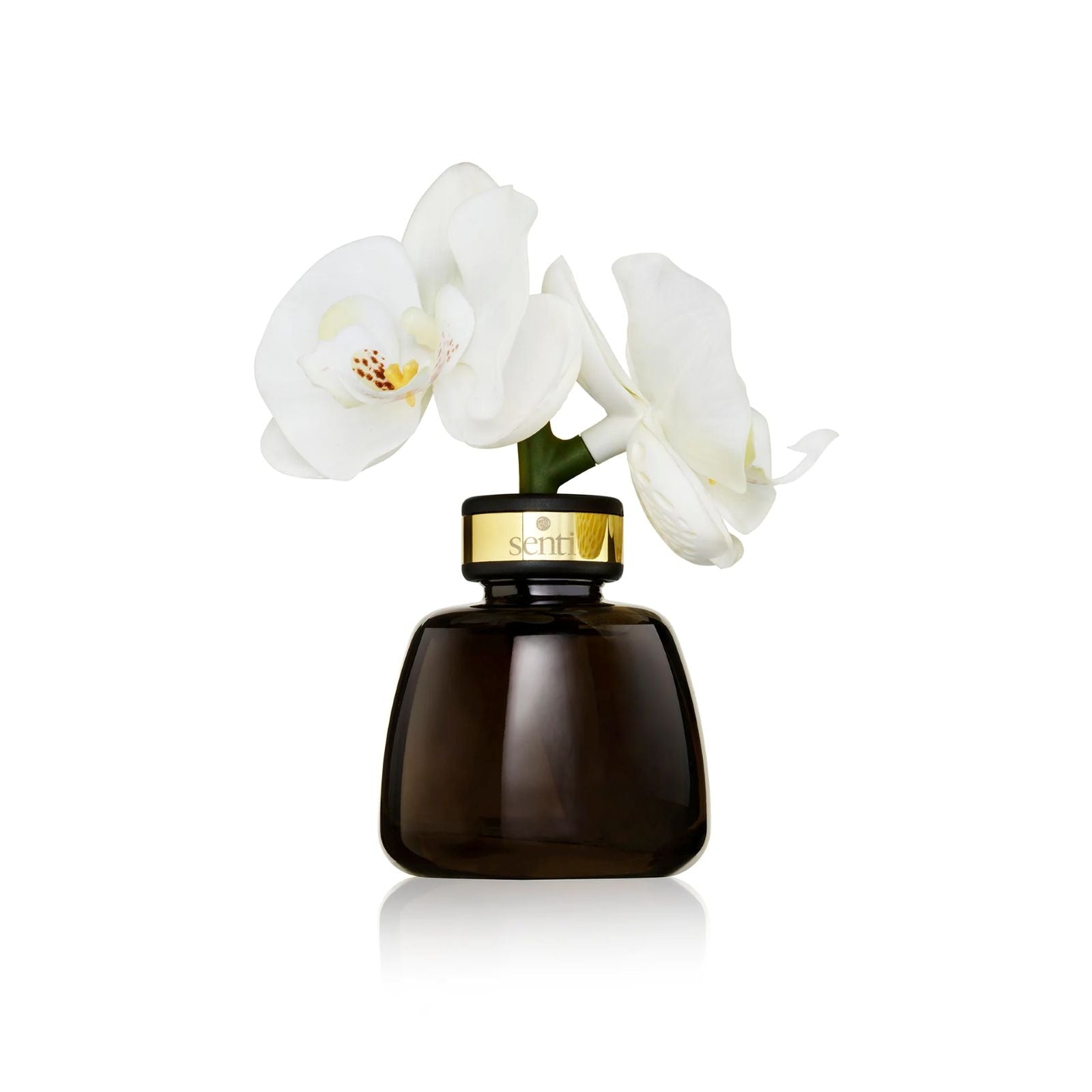 Best Home Fragrance Ideas to Make Your House Smell Amazing